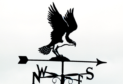 Osprey weathervane